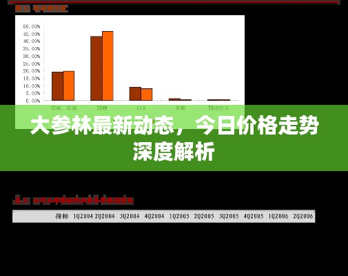 大参林最新动态，今日价格走势深度解析