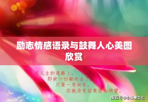 励志情感语录与鼓舞人心美图欣赏