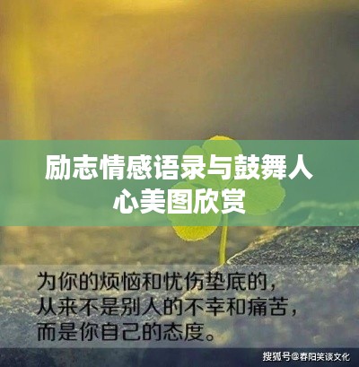 励志情感语录与鼓舞人心美图欣赏