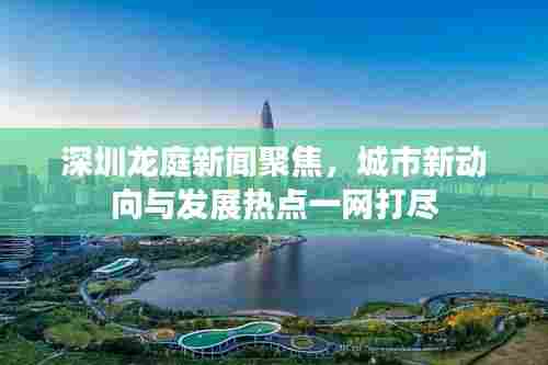 深圳龙庭新闻聚焦，城市新动向与发展热点一网打尽