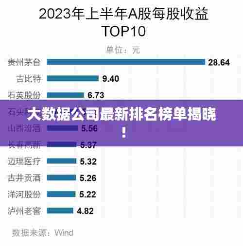 大数据公司最新排名榜单揭晓！