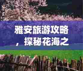 雅安旅游攻略,探秘花海之旅,美景尽收眼底!