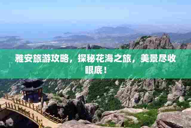 雅安旅游攻略,探秘花海之旅,美景尽收眼底!