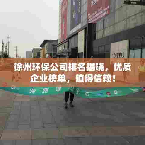 徐州环保公司排名揭晓,优质企业榜单,值得信赖!