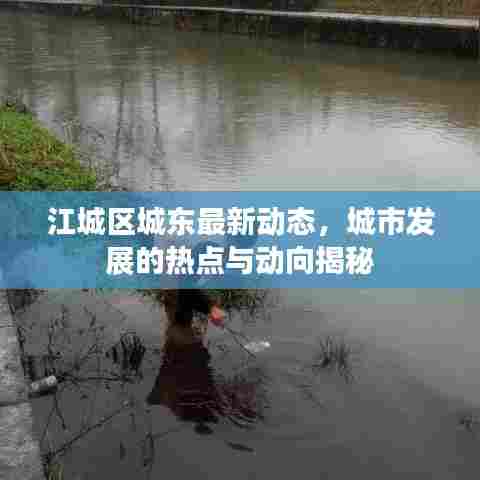 江城区城东最新动态,城市发展的热点与动向揭秘