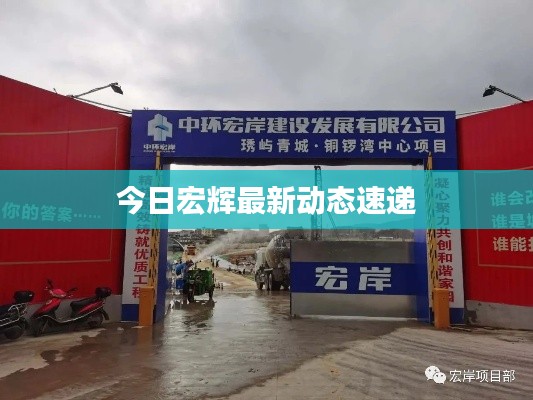 今日宏辉最新动态速递