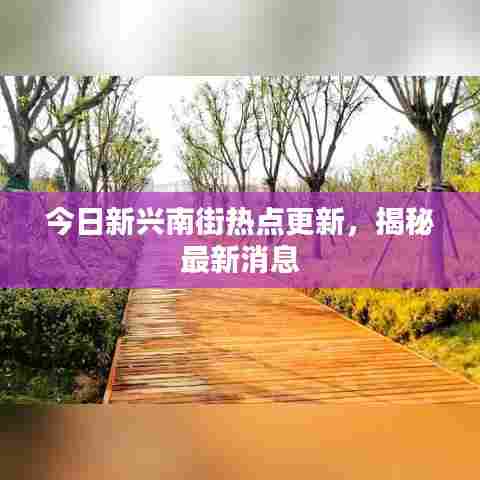 今日新兴南街热点更新，揭秘最新消息
