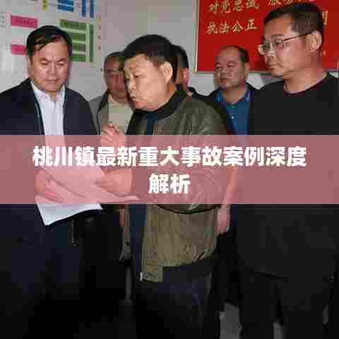 桃川镇最新重大事故案例深度解析