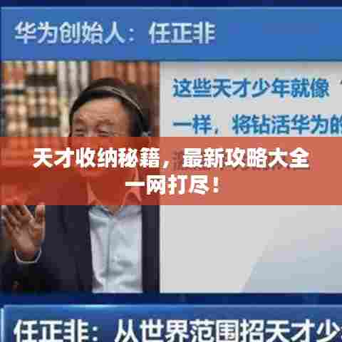 天才收纳秘籍,最新攻略大全一网打尽!