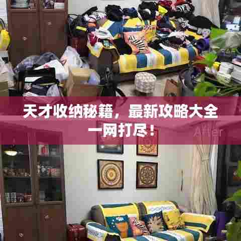 天才收纳秘籍,最新攻略大全一网打尽!