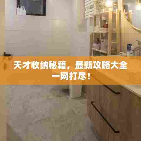 天才收纳秘籍,最新攻略大全一网打尽!