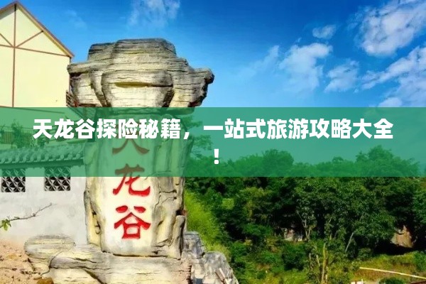天龙谷探险秘籍，一站式旅游攻略大全！