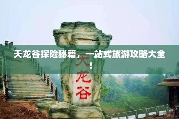 天龙谷探险秘籍,一站式旅游攻略大全!