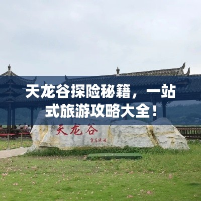 天龙谷探险秘籍,一站式旅游攻略大全!