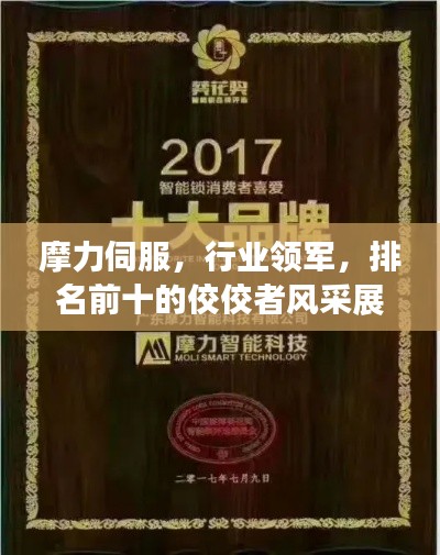摩力伺服，行业领军，排名前十的佼佼者风采展现
