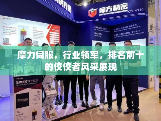摩力伺服,行业领军,排名前十的佼佼者风采展现