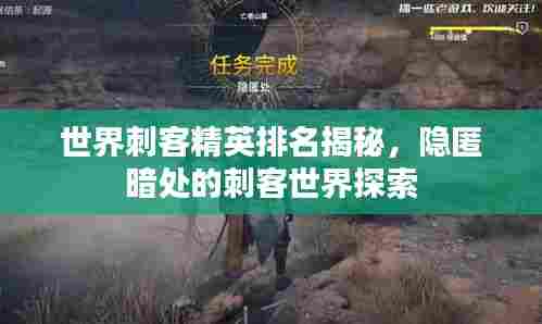 世界刺客精英排名揭秘，隐匿暗处的刺客世界探索