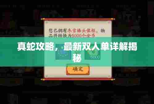 真蛇攻略,最新双人单详解揭秘