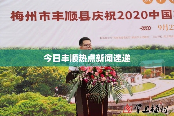 今日丰顺热点新闻速递