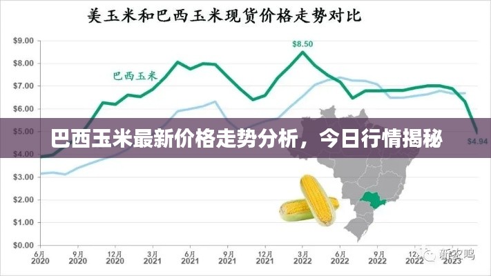 巴西玉米最新价格走势分析,今日行情揭秘