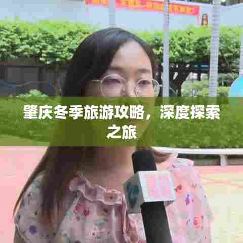 肇庆冬季旅游攻略，深度探索之旅