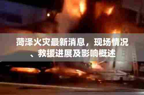 菏泽火灾最新消息,现场情况、救援进展及影响概述
