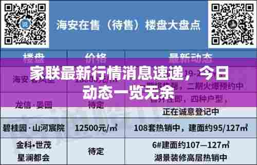 家联最新行情消息速递,今日动态一览无余