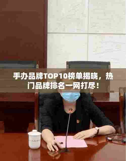 手办品牌TOP10榜单揭晓,热门品牌排名一网打尽!