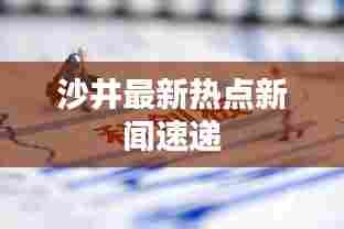 沙井最新热点新闻速递