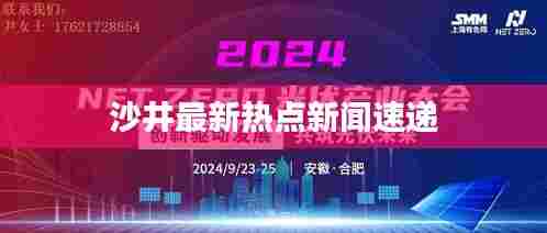 沙井最新热点新闻速递