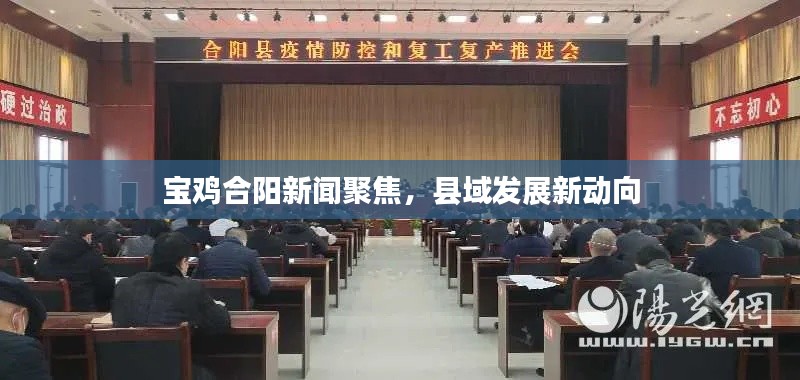 宝鸡合阳新闻聚焦,县域发展新动向