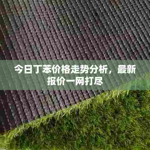 今日丁苯价格走势分析，最新报价一网打尽