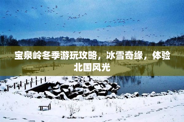 宝泉岭冬季游玩攻略,冰雪奇缘,体验北国风光