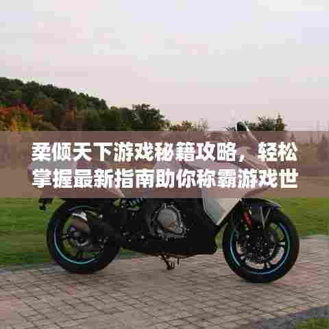 柔倾天下游戏秘籍攻略,轻松掌握最新指南助你称霸游戏世界!
