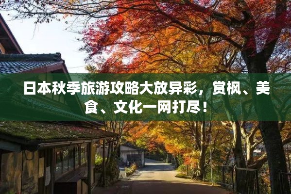 日本秋季旅游攻略大放异彩,赏枫、美食、文化一网打尽!