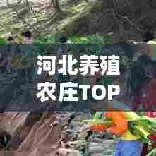 河北养殖农庄TOP10榜单揭晓!