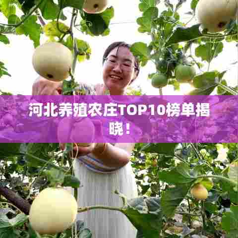 河北养殖农庄TOP10榜单揭晓!