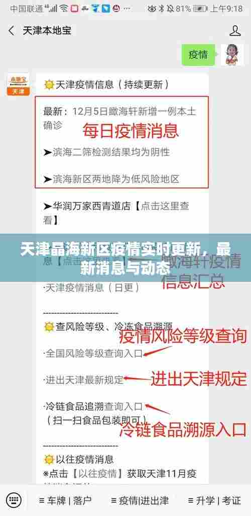天津晶海新区疫情实时更新,最新消息与动态