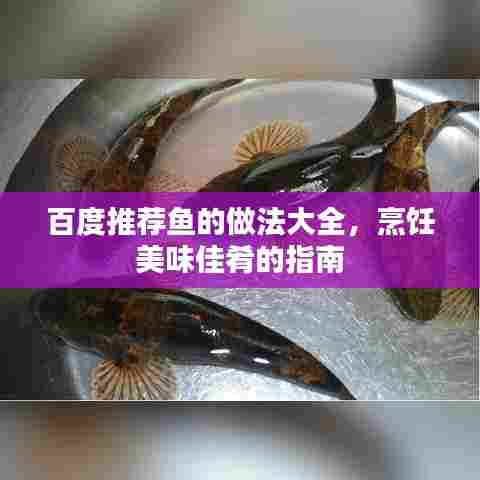 百度推荐鱼的做法大全,烹饪美味佳肴的指南