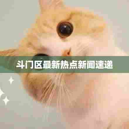 斗门区最新热点新闻速递