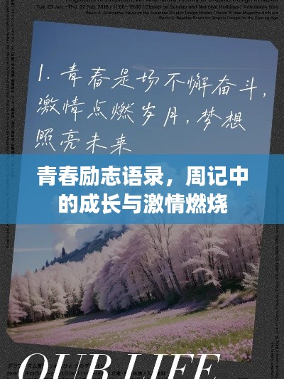 青春励志语录,周记中的成长与激情燃烧