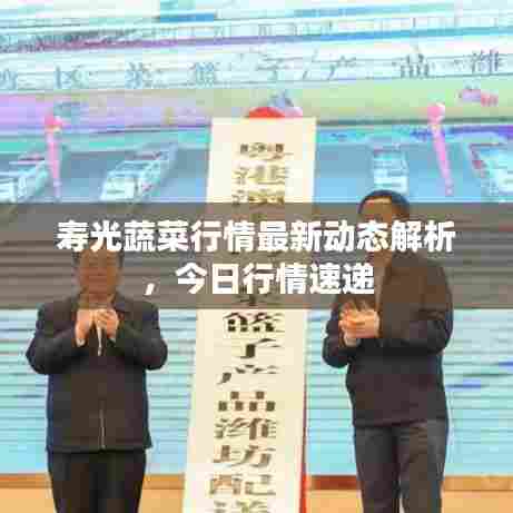 小家碧玉 第3页