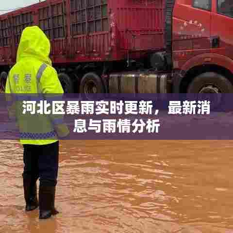 河北区暴雨实时更新,最新消息与雨情分析