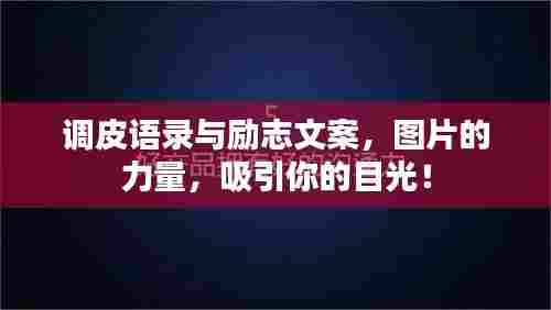 调皮语录与励志文案,图片的力量,吸引你的目光!