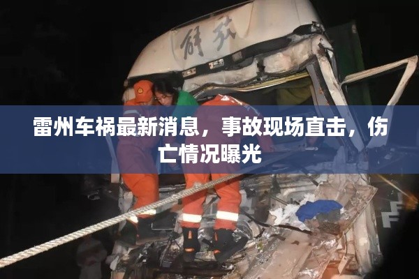 雷州车祸最新消息，事故现场直击，伤亡情况曝光