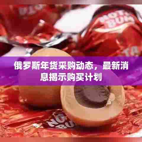 俄罗斯年货采购动态,最新消息揭示购买计划