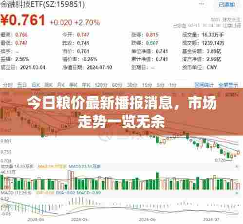 今日粮价最新播报消息,市场走势一览无余