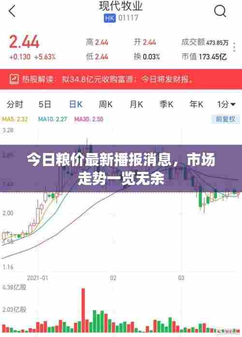 今日粮价最新播报消息,市场走势一览无余