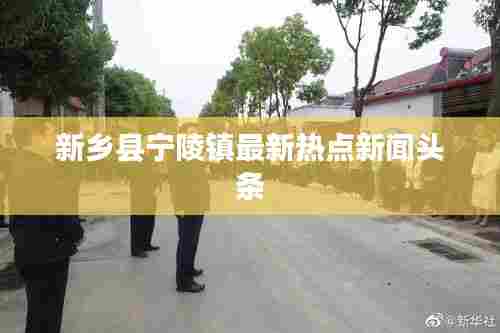 新乡县宁陵镇最新热点新闻头条