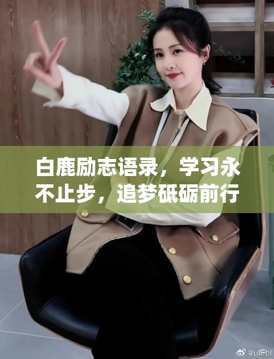 白鹿励志语录，学习永不止步，追梦砥砺前行
